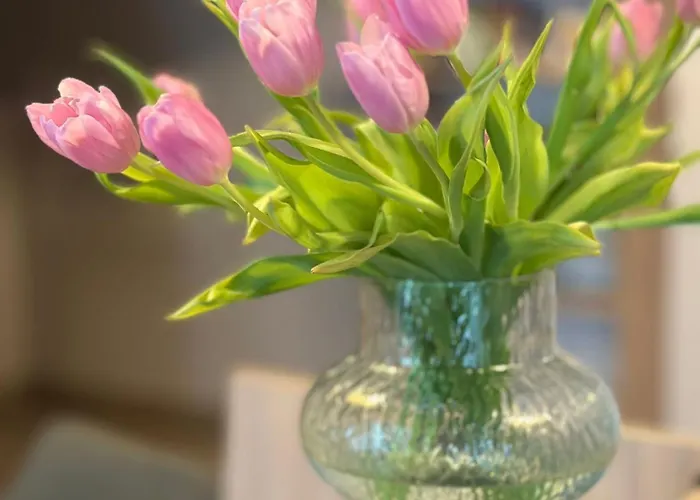 H360 - Dawniej Relax * Łódź